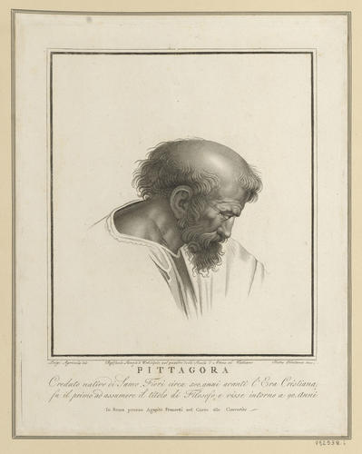 Master: Set of fifteen prints reproducing heads from 'The School of Athens'
Item: Head of a bearded man [from 'The School of Athens']