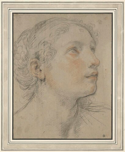 The head of a woman