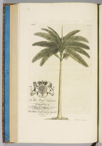 The Natural history of Barbados, in ten books / by Rev. Griffith Hughes