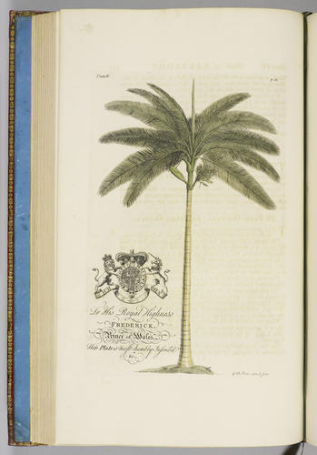 The Natural history of Barbados, in ten books / by Rev. Griffith Hughes The Natural history of Barbados, in ten books / by Rev. Griffith Hughes
