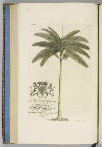 The Natural history of Barbados, in ten books / by Rev. Griffith Hughes