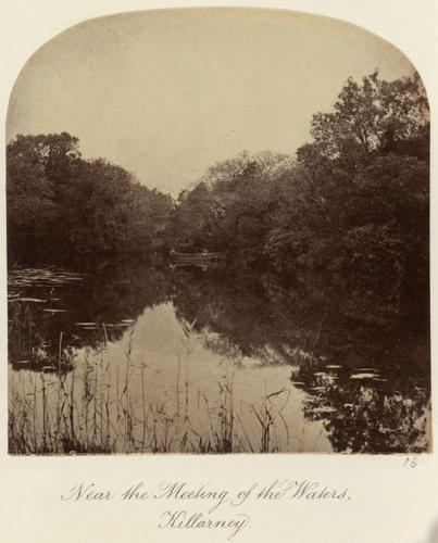'Near the Meeting of the Waters, Killarney'