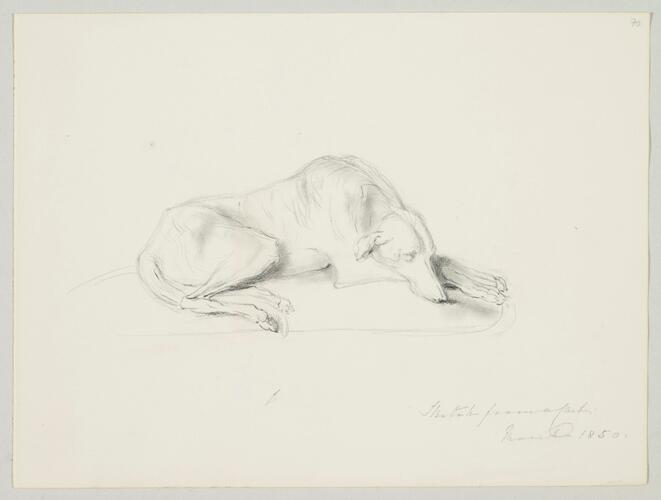 Master: SKETCHES FROM NATURE V. R. 1847 TO 1852
Item: Statue of a Greyhound