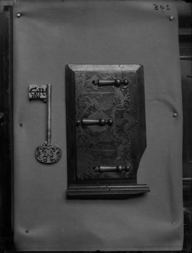 Glass plate negative