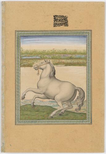 Master: Mughal album of portraits, animals and birds.
Item: Portrait of Muhammad Shah and copy of Gallic Horse after Stradanus Master: Mughal album of portraits, animals and birds.
Item: Portrait of Muhammad Shah and copy of Gallic Horse after Stradanus