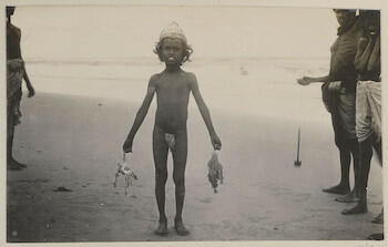 Indian boy holding fish and a crab, Madras: Edward, Prince of Wales. Royal Tour of India, 1921-1922 Indian boy holding fish and a crab, Madras: Edward, Prince of Wales. Royal Tour of India, 1921-1922