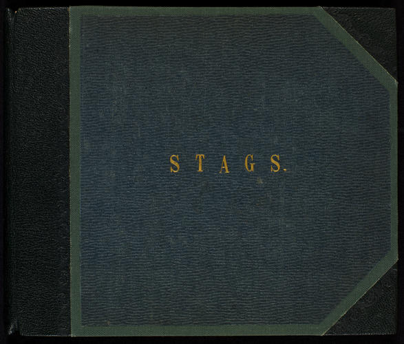 Stags; Volume 2