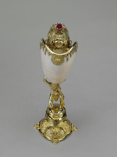 Nautilus cup Nautilus cup
