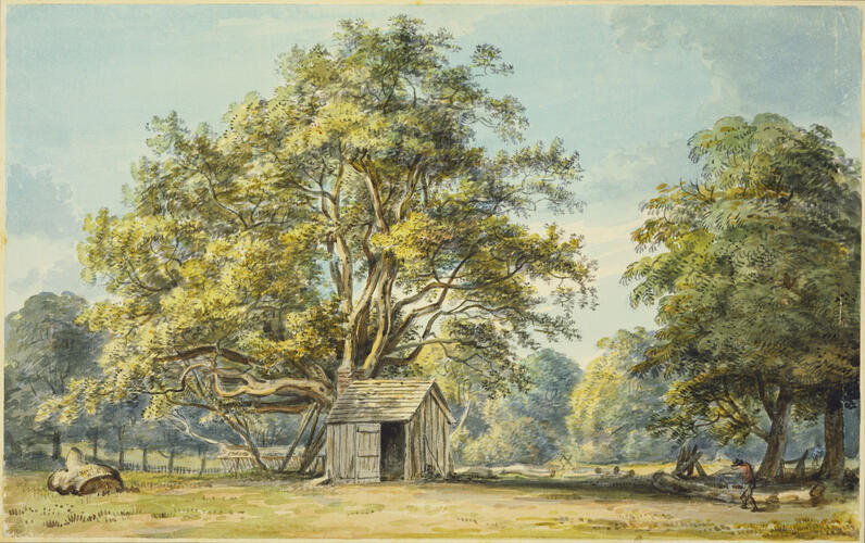 Windsor Great Park