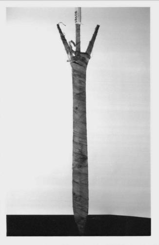 Ceremonial spear (homyahla)