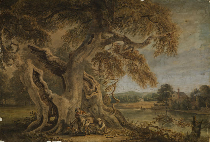 An old beech tree An old beech tree