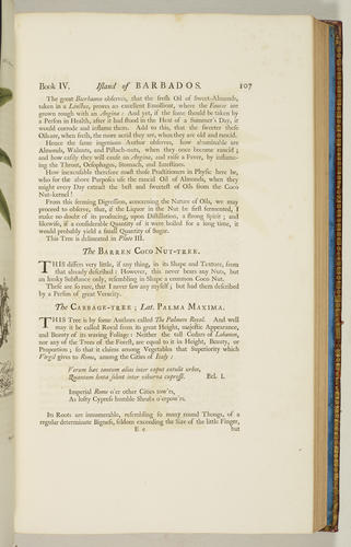 The Natural history of Barbados, in ten books / by Rev. Griffith Hughes The Natural history of Barbados, in ten books / by Rev. Griffith Hughes