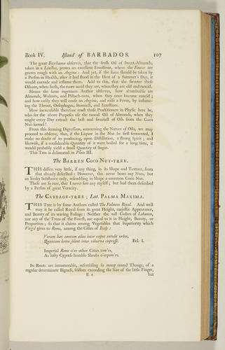 The Natural history of Barbados, in ten books / by Rev. Griffith Hughes