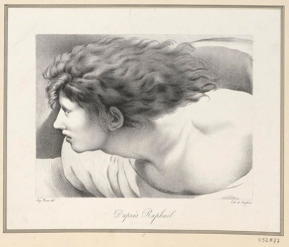 Head of a long-haired young man [from 'The Expulsion of Heliodorus from the Temple']