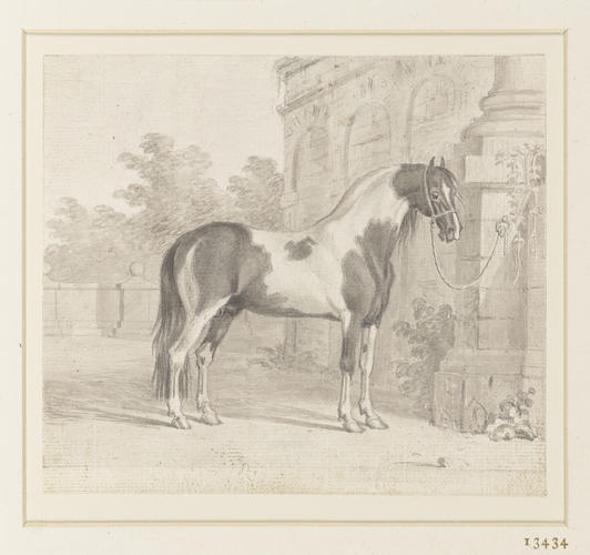 The Coach Horse The Coach Horse