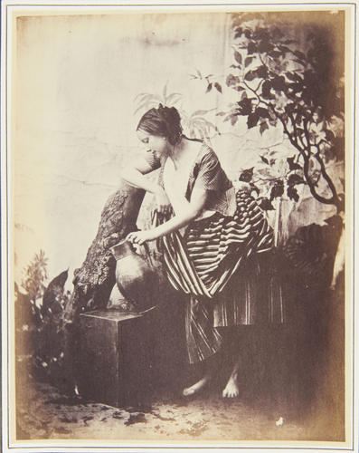 Portrait of a young woman Portrait of a young woman