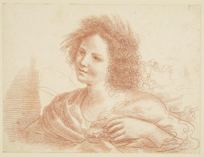 The head and shoulders of a woman The head and shoulders of a woman