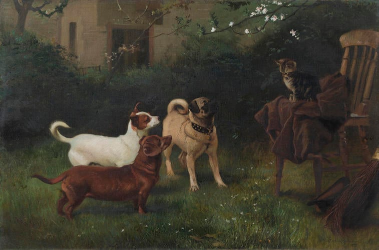 Cat and Dogs belonging to Queen Victoria Cat and Dogs belonging to Queen Victoria