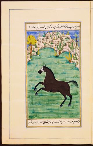 Farasnamah فرسنامه (A Treatise on Horses) and Dawlatnamah دولتنامه (A Treatise on Falcons) Farasnamah فرسنامه (A Treatise on Horses) and Dawlatnamah دولتنامه (A Treatise on Falcons)