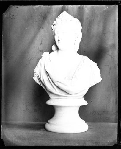 Glass plate negative of a marble bust Glass plate negative of a marble bust