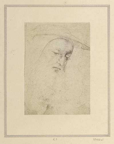The head of a bearded man wearing a hat
