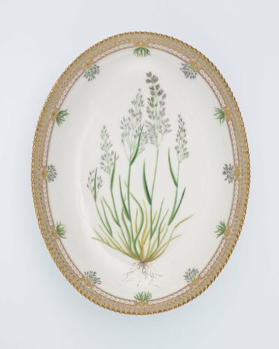 Master: Set of salad bowls
Item: Agrostis camina