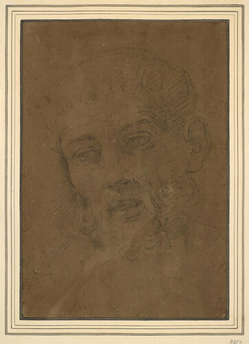 The head of a bearded man