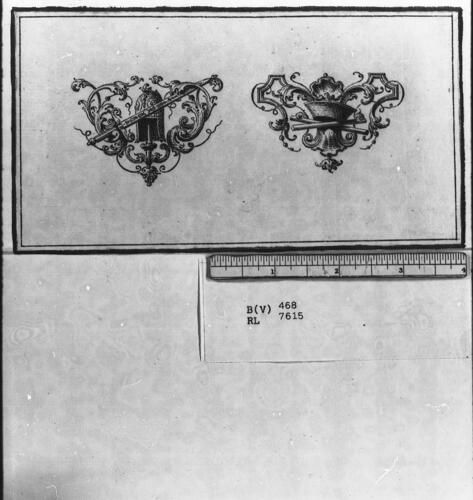 Della Istoria d'Italia di M. Francesco Guicciardini Libri XX: a design for a tail-piece