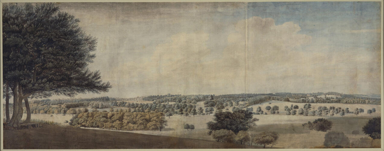 Windsor Great Park, from the vicinity of Sandpit Gate, looking North
