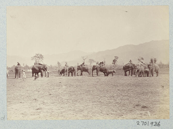Captured Elephant and Warders: Prince of Wales Tour of India 1875-6 (vol. 6) Captured Elephant and Warders: Prince of Wales Tour of India 1875-6 (vol. 6)
