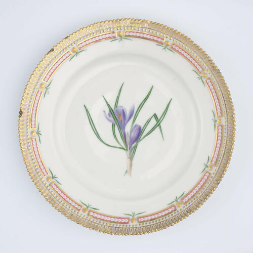 Master: Set of dinner plates
Item: Crocus vernus
