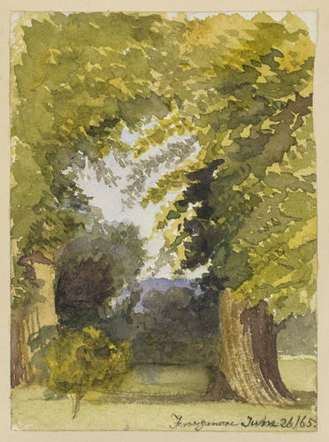 Master: SKETCHES FROM NATURE V. R. 1865 TO 1867
Item: Frogmore