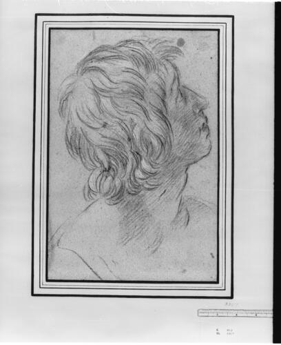 The head of a youth