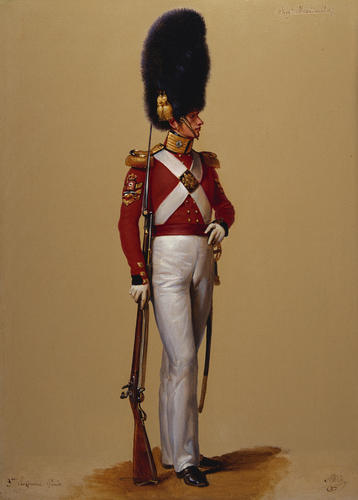 Colour-Sergeant Alexander McDonald, Scots Fusilier Guards Colour-Sergeant Alexander McDonald, Scots Fusilier Guards