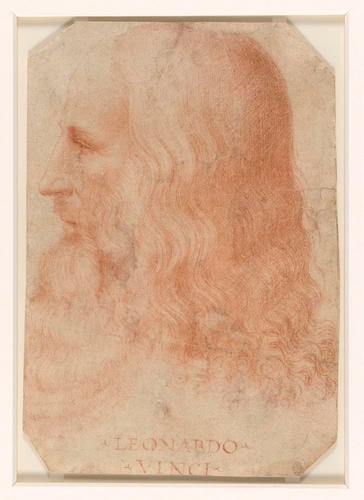 A portrait of Leonardo