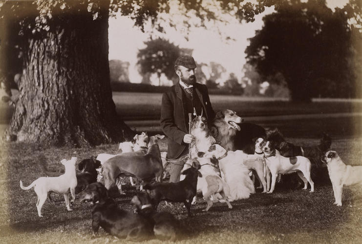 Mr. Hill with dogs from the Windsor kennel