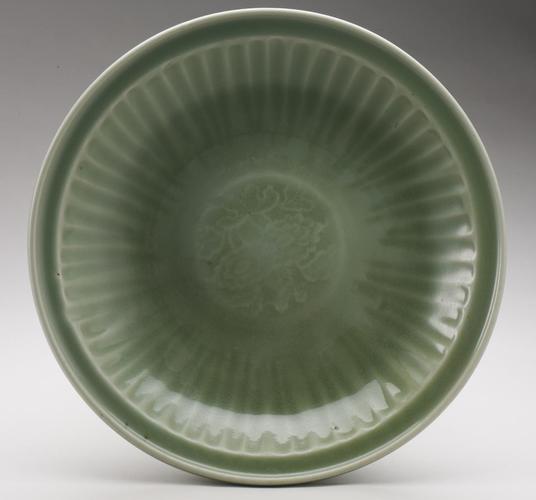 Dish