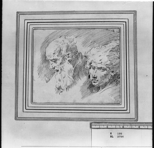 The heads of an old man and a youth
