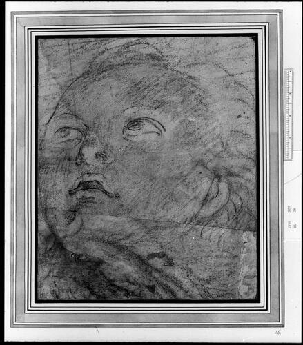 The head of a putto The head of a putto
