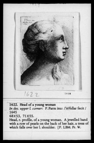 Head of a young woman, after Parmegiano Head of a young woman, after Parmegiano