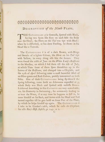 A Natural history of English insects / by Eleazar Albin A Natural history of English insects / by Eleazar Albin