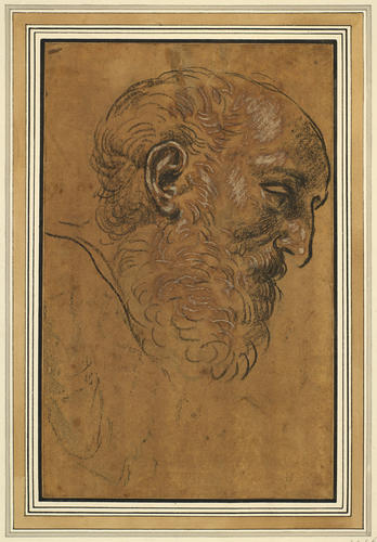 The head of a bearded man in profile The head of a bearded man in profile