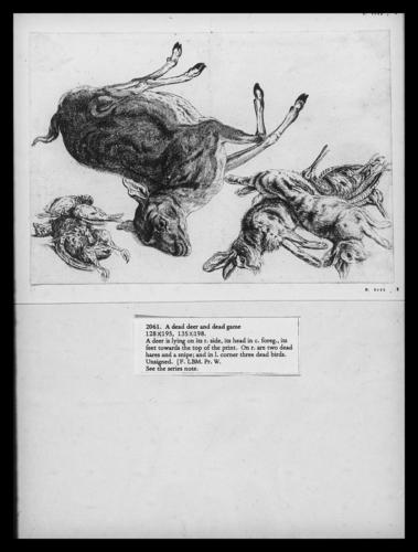 A Dead Deer and Dead Game A Dead Deer and Dead Game