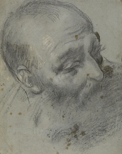A head of an old man A head of an old man