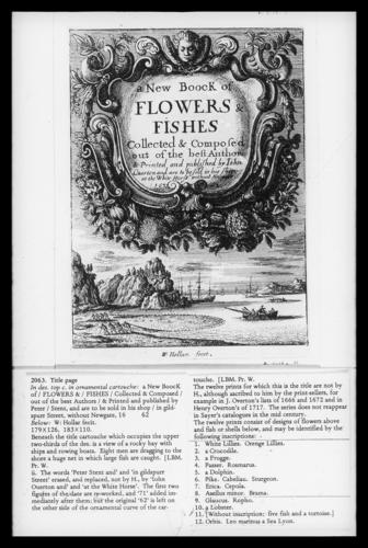 Title page - A New Book of Flowers and Fishes
