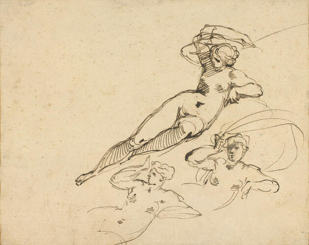 Galatea Galatea