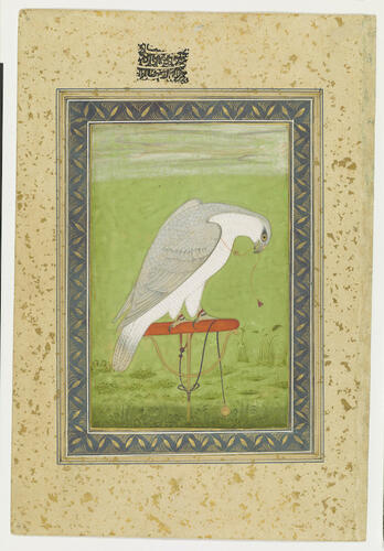 Master: Mughal album of portraits, animals and birds.
Item: Painting of a falcon and portrait of Sulaiman Shukoh