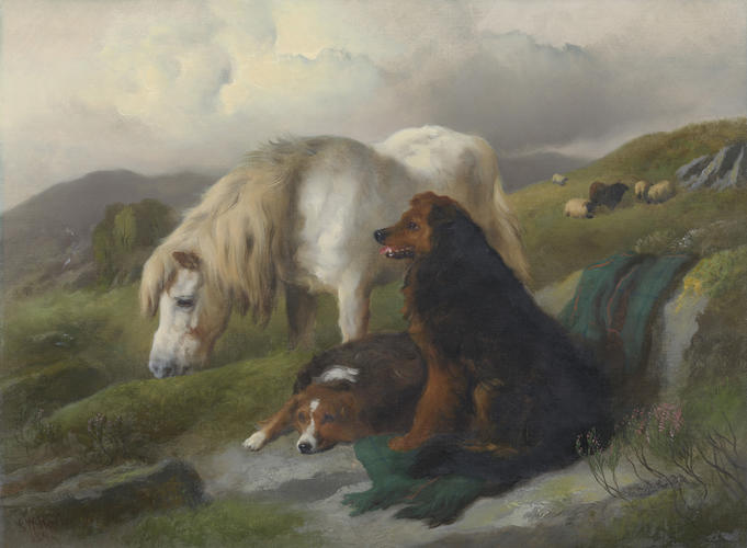 Collies and a Pony