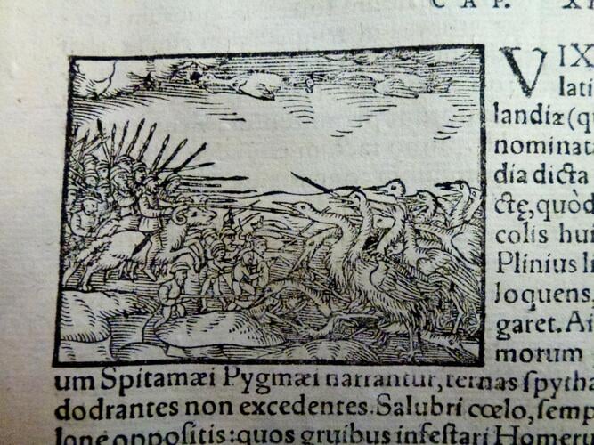 Historia Olai Magni gothi archiepiscopi Upsalensis De gentium septentrionalium variis conditionibus statibusúe . .
