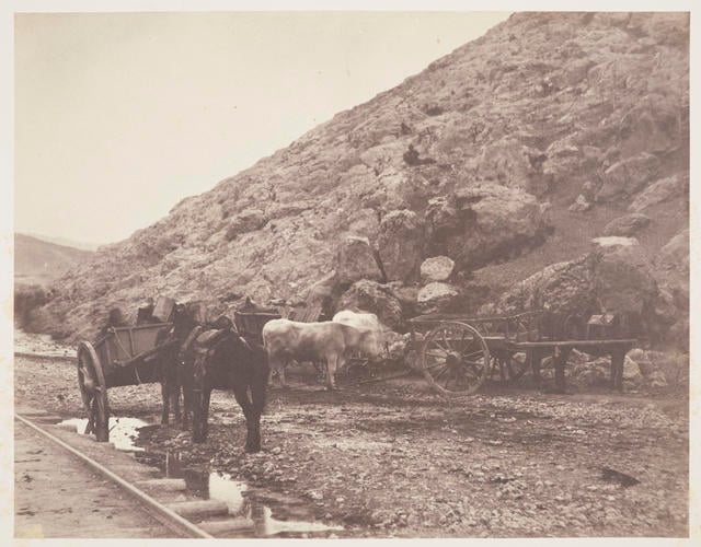 Carts leaving Balaklava Carts leaving Balaklava